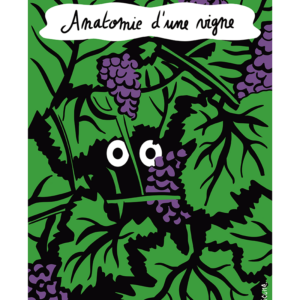 Anatomie d'une vigne - Djoune Illustrations - Justine Gisdal Molron