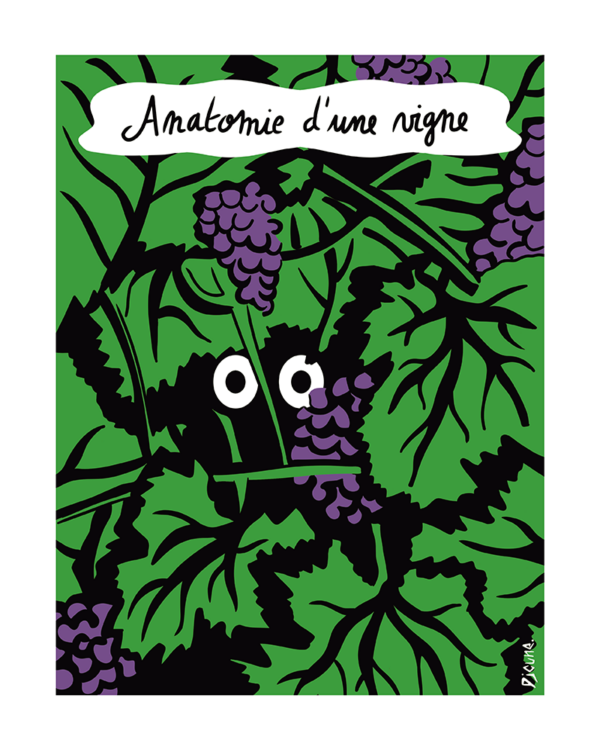 Anatomie d'une vigne - Djoune Illustrations - Justine Gisdal Molron