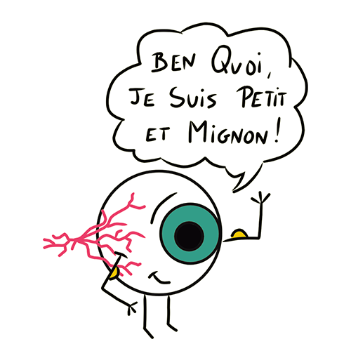 Marie, orthoptiste