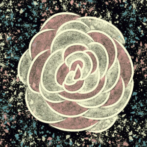 Rose Cosmique - Boutique - Djoune Illustrations - Justine Gisdal Molron