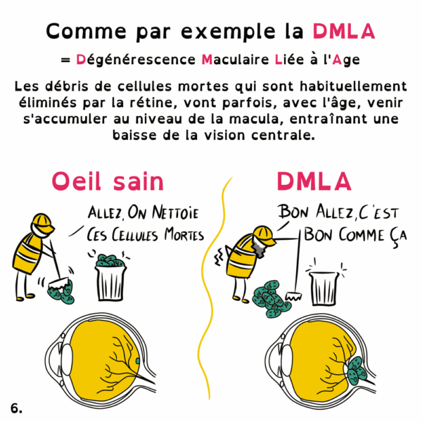 Déficiences visuelles - Marie Massonneau, orthoptiste - Vulgarisation - BD - Djoune Illustrations - Justine Gisdal Molron